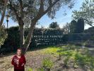 Annonce Vente 3 pices Maison Loupian