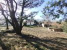 Annonce Vente Terrain Champtoceaux