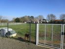 Annonce Vente Terrain Jonchere