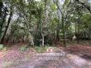 Annonce Vente Domaine forestier Sanguinet
