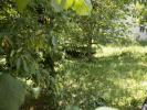Vente Terrain Mouthier-haute-pierre 25