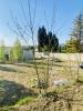 For sale Land Vacqueyras 84190 1000 m2