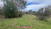 Annonce Vente Terrain Sauve