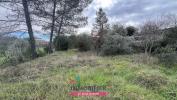 Acheter Terrain 2855 m2 Sauve