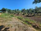 Acheter Maison Peyriac-minervois 599000 euros