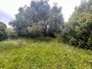 Annonce Vente 2 pices Maison 