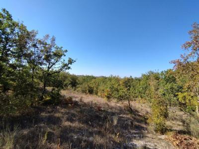 For sale Land CEZAC QUERCY BLANC 46