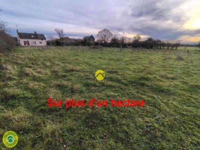 For sale House AUGY-SUR-AUBOIS 