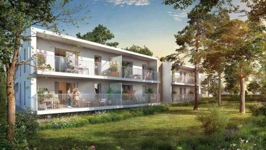 Location Appartement MONTPELLIER  34
