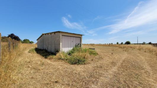 photo For sale Land SAINT-PIERRE-DE-L'ILE 17