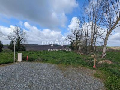 Vente Terrain PAULINET 81250