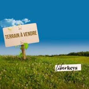 Vente Terrain FAREMOUTIERS 77515