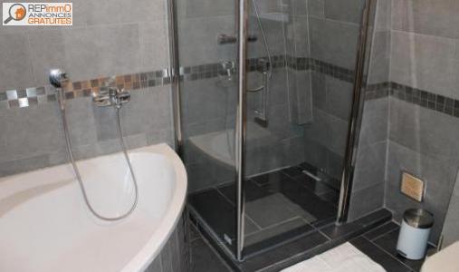 Location Appartement 2 pices JOUE-LES-TOURS 37300