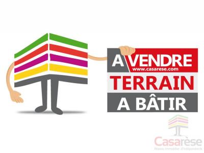 Vente Terrain INGRE 45140