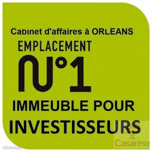 Vente Immeuble SAINT-HILAIRE-SAINT-MESMIN 45160
