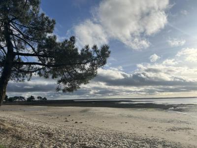 photo For sale Land LANTON 33