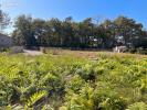 Vente Terrain Andernos-les-bains 33