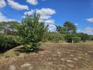 Annonce Vente Terrain Cadaujac