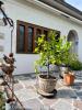 Acheter Maison 160 m2 Cauffry