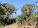 Vente Terrain Olmeto  20113 7644 m2