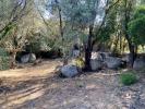 Annonce Vente Terrain Olmeto