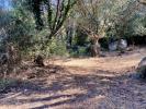 Acheter Terrain 7644 m2 Olmeto