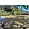 Annonce Vente Terrain Bollene-vesubie