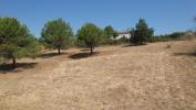 Land VILLEFLOURE 