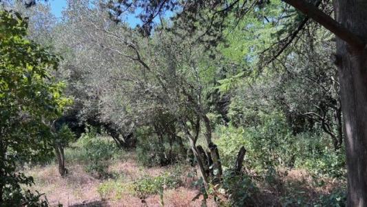 photo For sale House NIMES 30