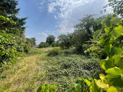 Vente Terrain CHATEAU-RENARD  45