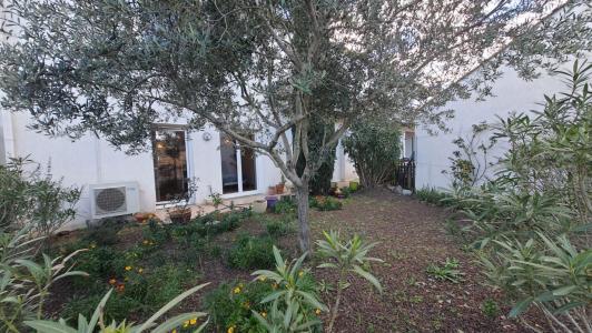 photo For sale Apartment MONTREDON-DES-CORBIERES 11