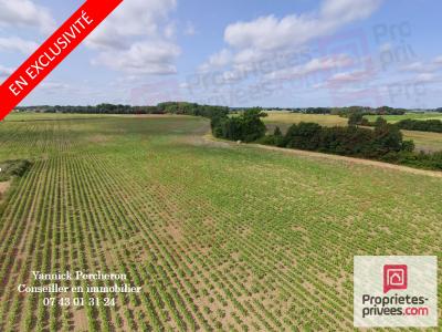 Vente Terrain BREILLE-LES-PINS 49390