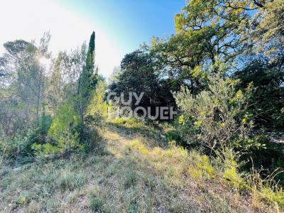 photo For sale Land VAILHAUQUES 34
