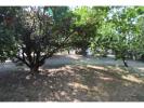 Acheter Terrain Saint-georges-d'oleron 239400 euros