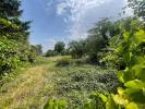 Vente Terrain Chateau-renard 45