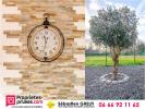 House GY-EN-SOLOGNE 