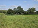 Annonce Vente Terrain Acquin-westbecourt