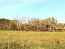 For sale Land Saint-martin-d'ary  17270 1077 m2