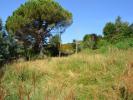 For sale Land Mercuer  07200 1000 m2