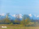 Acheter Maison Lherm 434900 euros