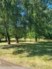Acheter Prestige Chateauneuf-sur-cher Cher
