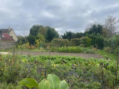 photo For sale House SOURS 28