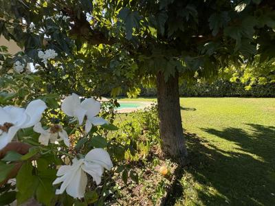 photo For sale House ISLE-SUR-LA-SORGUE 84