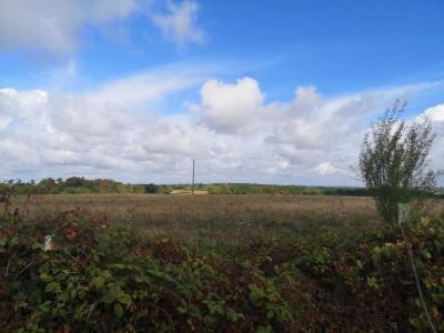 For sale House GONDRIN 