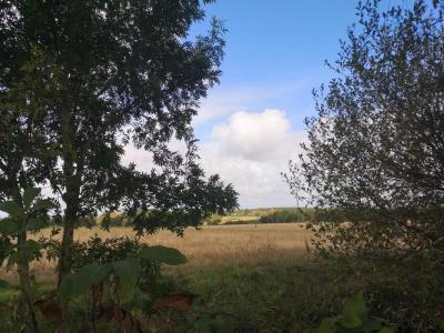 For sale House GONDRIN 