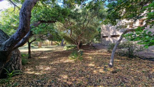 Vente Maison ISSAMBRES 