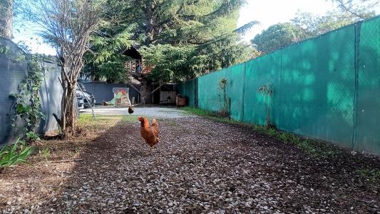 For sale House SAINT-ANDRE-DE-SANGONIS