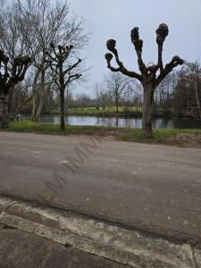 Vente Maison VINCELOTTES