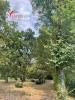 Vente Terrain Ambares-et-lagrave 33