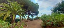 Annonce Vente 2 pièces Appartement Frejus